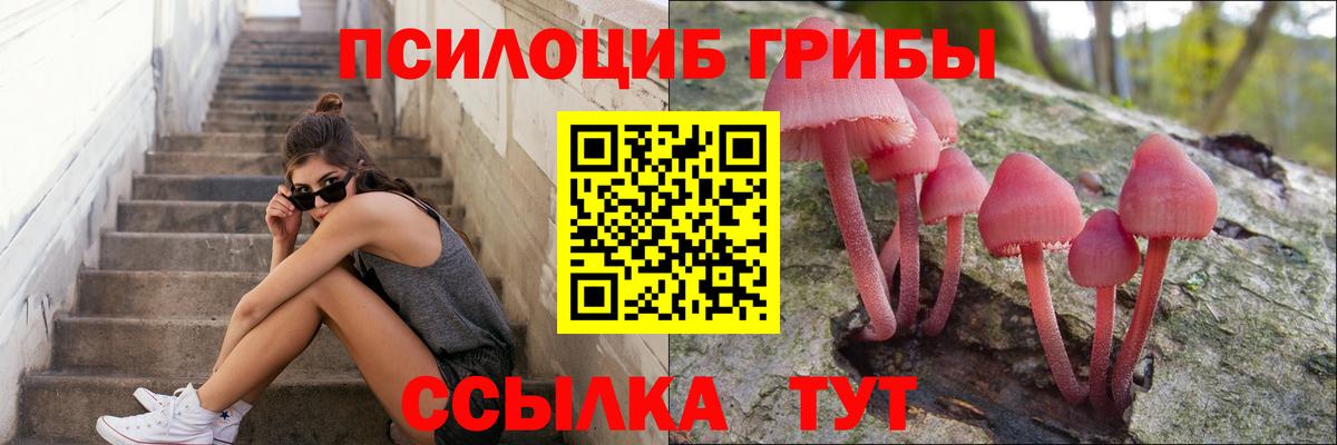 Галлюциногенные грибы мухоморы Гусиноозёрск